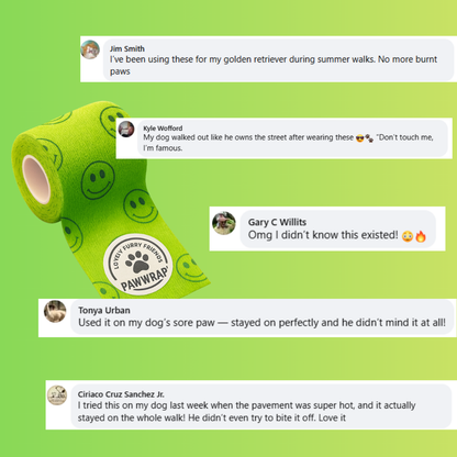 💥Only Today: 50%💥DogWrap Bandage