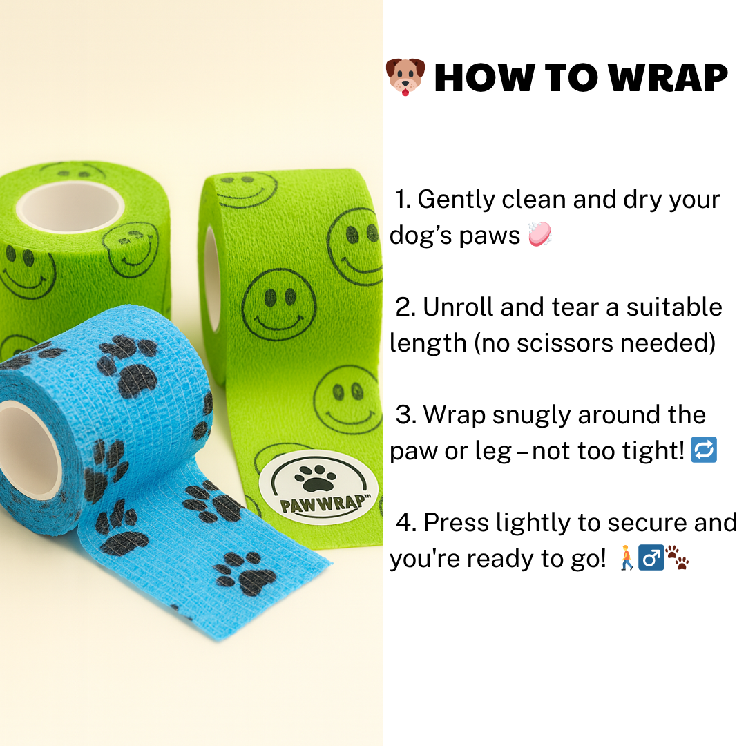 💥Only Today: 50%💥DogWrap Bandage